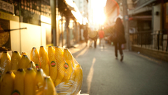 Fruits urban sunlight bananas