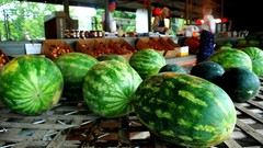 Fruits watermelons