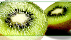 Fruits white background