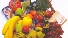 Fruits white background