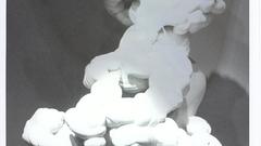 Fs have sneaking Suspicion