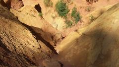 Fs No selfshot afraid