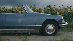 Fuck high yea Resolution dscabrio citr