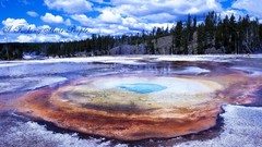 Fuck yellowstone fuck you