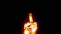 Fuck you middle finger