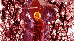 Fullmetal alchemist Elric Alphonse