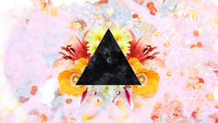 Fungus hurpa durp Herp