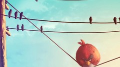 Funny angry birds artwork video games