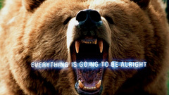 Funny Bears Everything Is