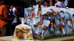 Funny budweiser beers