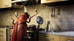 Funny Bug kitchen cooking