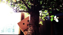 Funny danboard