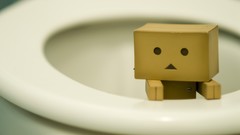 Funny danboard