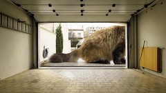 Funny digital art Photo