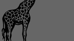 Funny dual screen like