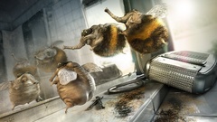 Funny electric shave shaver