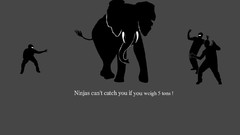 Funny elephants ninjas cant catch you if