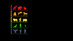 Funny Evolution black background