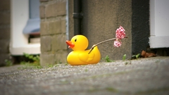 Funny hobo rubber ducks