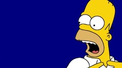 Funny Homer Simpson The