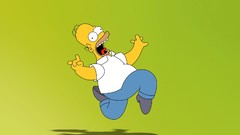 Funny Homer Simpson The