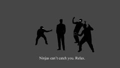 Funny ninjas cant catch