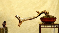 Funny Photo manipulation