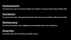 Funny political anarchy Cows
