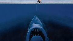 Funny Sharks fishermen