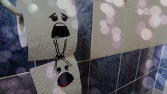 Funny toilet paper bathtubs