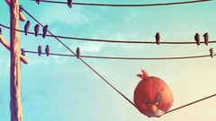 Funny wires angry birds deviantart artwork