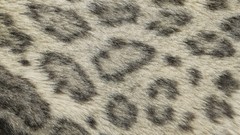 Fur