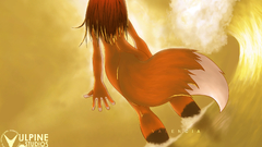 Furry fandom Animals