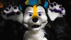 Fursuit furry