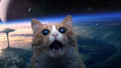 Futuristic cats