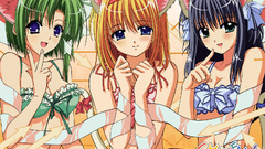 Fuyou kaede Yae Sakura