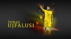 Galatasaray SK Tomas Ujfalusi