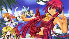 Galaxy angel apricots