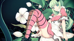 Galge Anime anime girls