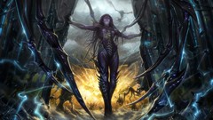 Game blizzard starcraft Kerrigan blizzard entertainment video 