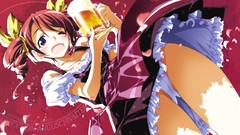 Game cg upskirt Material Brave Erika von Aufschnaiter