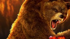 Game Fighting Tekken tekken 6 Tekken 5 Namco Bandai