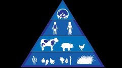 Game not many related vote too caaf