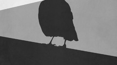 Game of thrones posters minimalistic