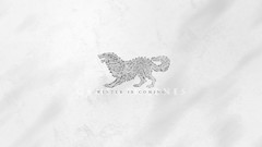 Game of thrones TV series house stark