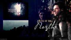 Game of thrones TV series robb stark