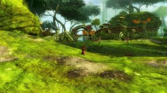 Game pc games guild wars Asura screenshots