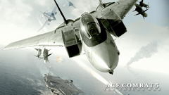 Games ace combat f-14