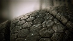 Games crysis screenshots