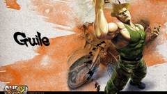 Games Fighting guile street fighter video games